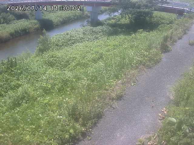 河内川１2026/07/14 15:20:00