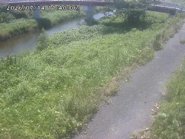 河内川１2026/07/14 15:20:00