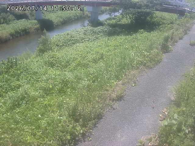 河内川１2026/07/14 15:20:00