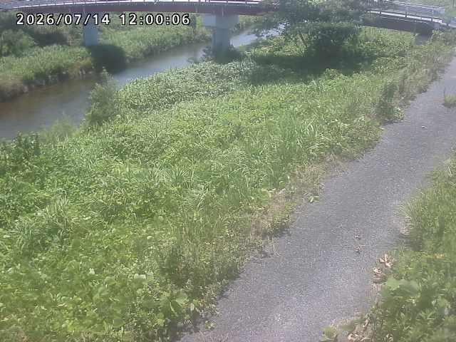 河内川１2026/07/14 15:20:00