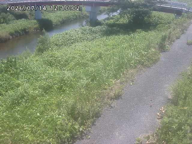 河内川１2026/07/14 15:20:00