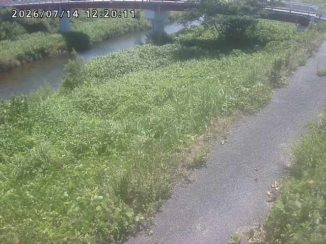 河内川１2026/07/14 15:20:00