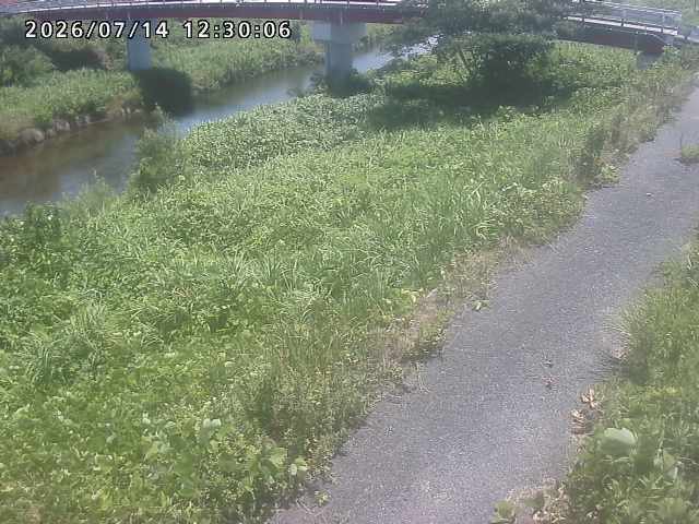河内川１2026/07/14 15:20:00
