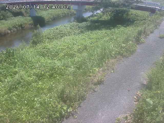 河内川１2026/07/14 15:20:00