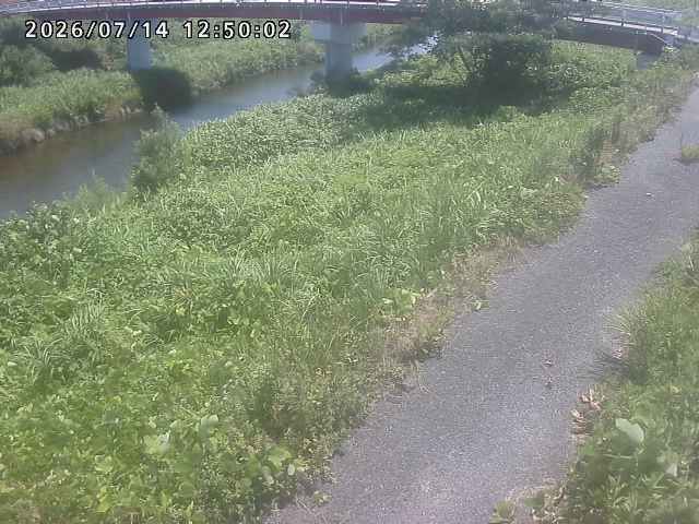 河内川１2026/07/14 15:20:00