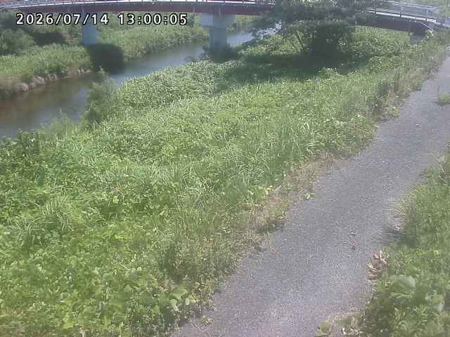 河内川１2026/07/14 15:20:00