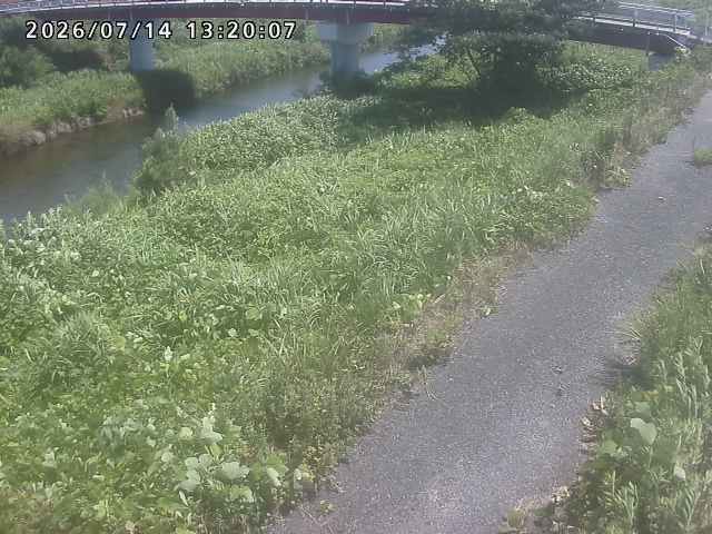 河内川１2026/07/14 15:20:00