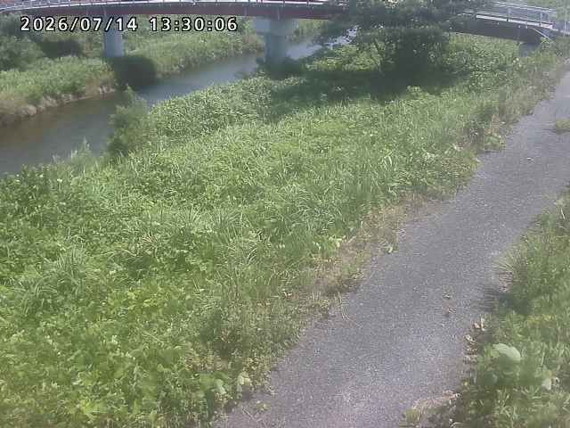 河内川１2026/07/14 15:20:00