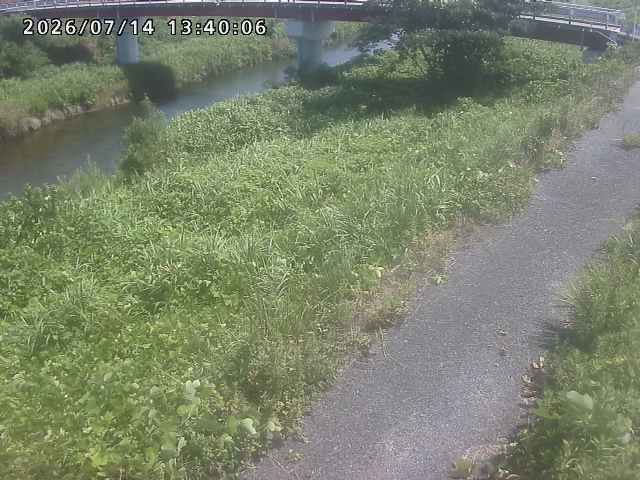 河内川１2026/07/14 15:20:00