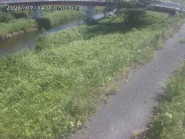 河内川１2026/07/14 15:20:00
