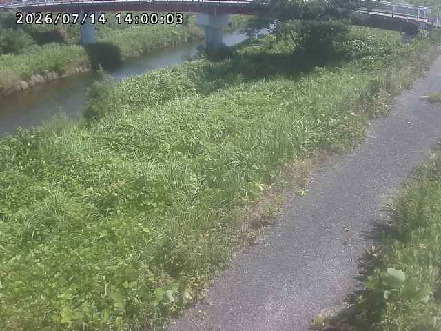 河内川１2026/07/14 15:20:00