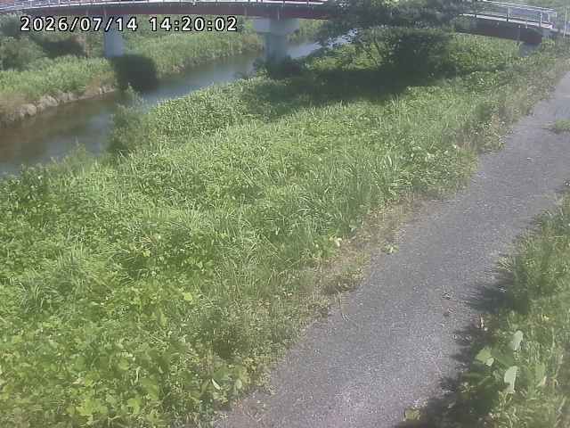 河内川１2026/07/14 15:20:00