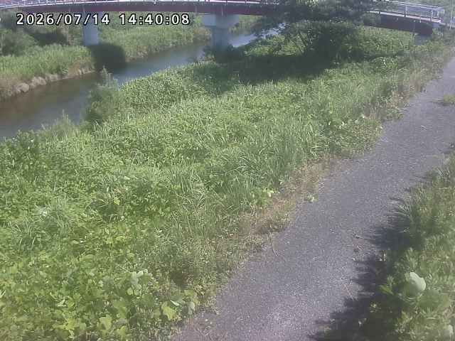 河内川１2026/07/14 15:20:00
