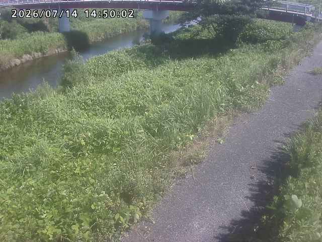 河内川１2026/07/14 15:20:00