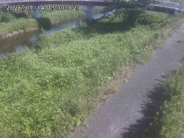 河内川１2026/07/14 15:20:00