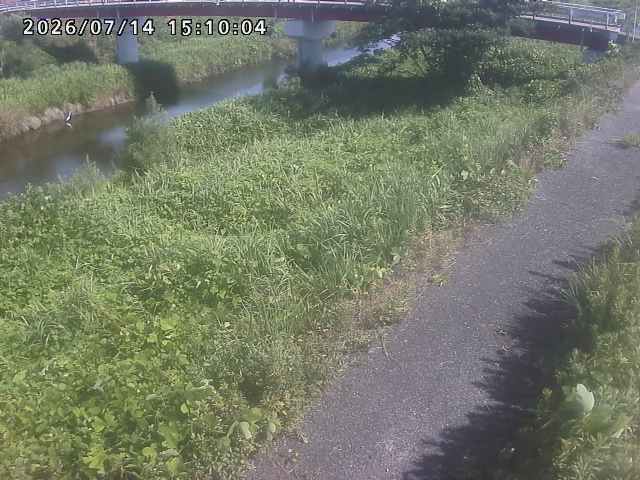 河内川１2026/07/14 15:20:00