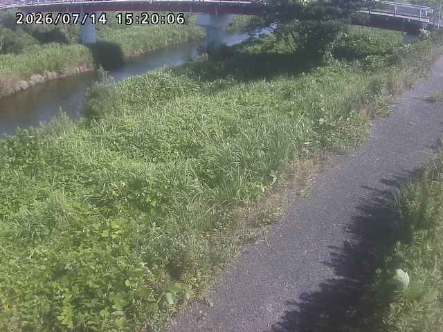 河内川１2026/07/14 15:20:00