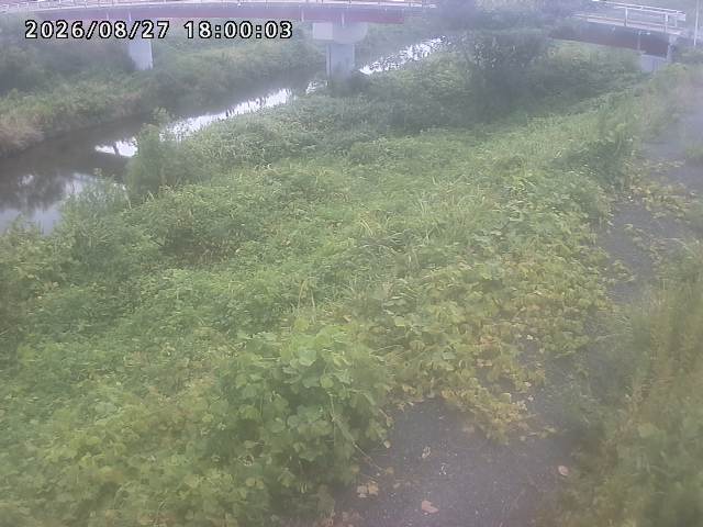 河内川１2026/08/28 17:00:00