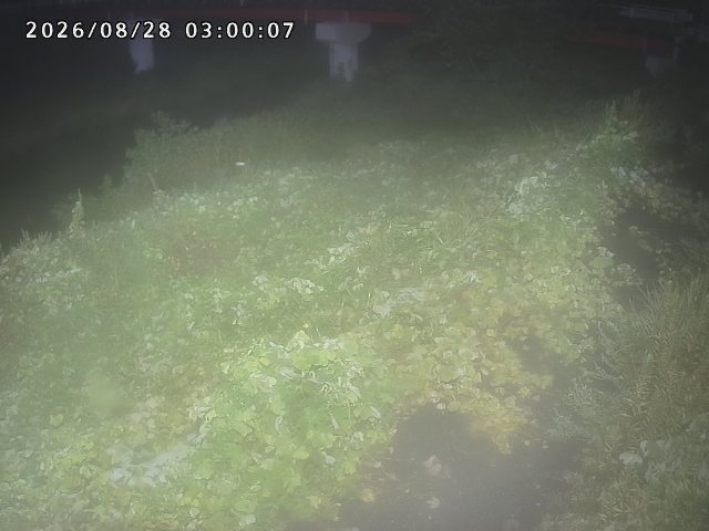 河内川１2026/08/28 17:00:00