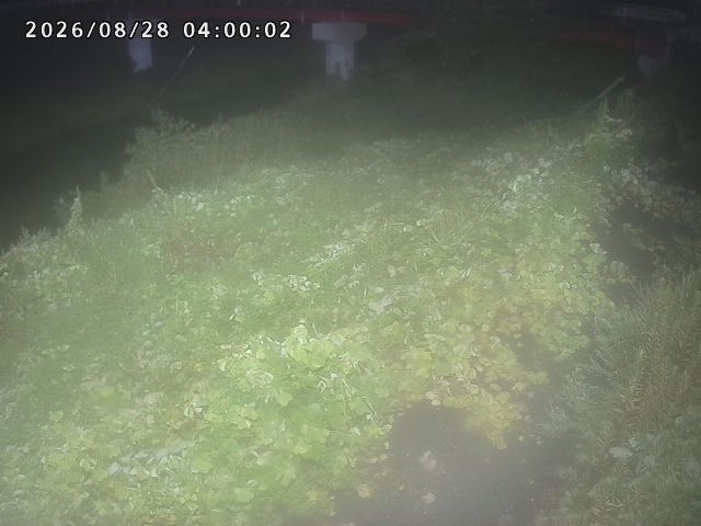 河内川１2026/08/28 17:00:00