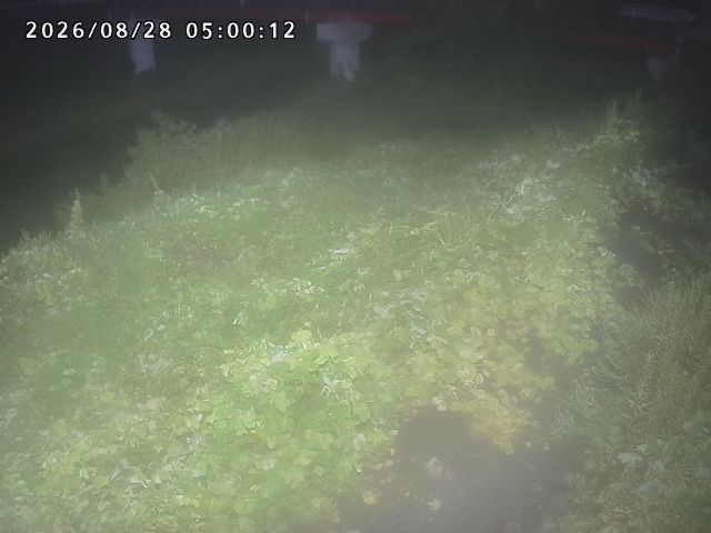 河内川１2026/08/28 17:00:00