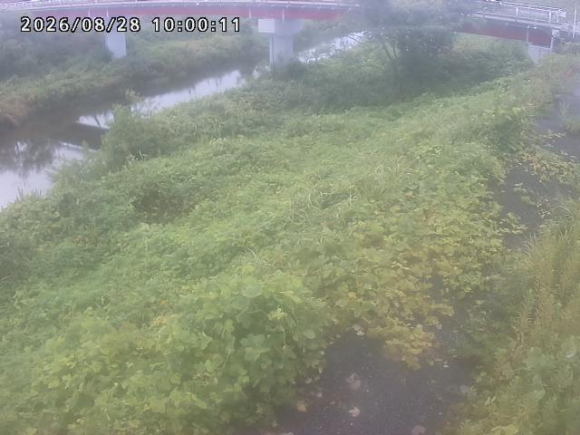 河内川１2026/08/28 17:00:00