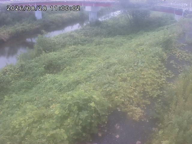 河内川１2026/08/28 17:00:00