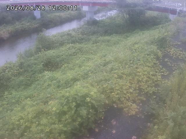 河内川１2026/08/28 17:00:00