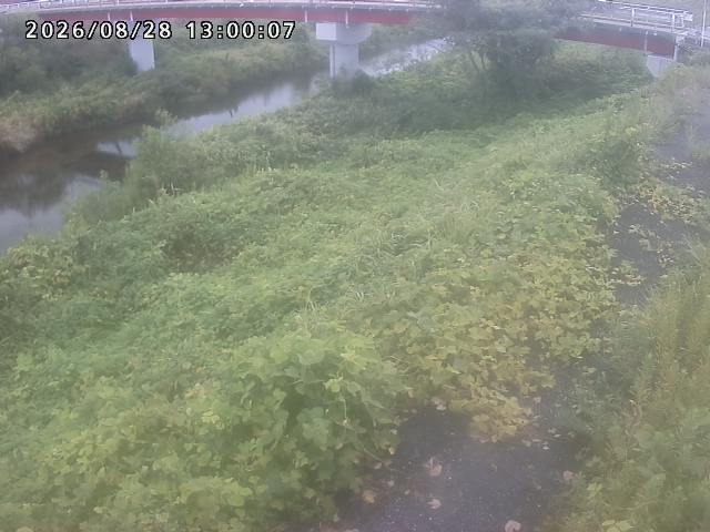 河内川１2026/08/28 17:00:00