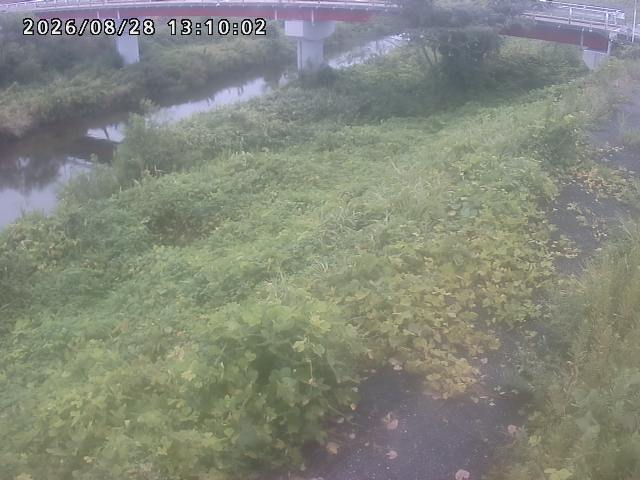 河内川１2026/08/28 17:00:00