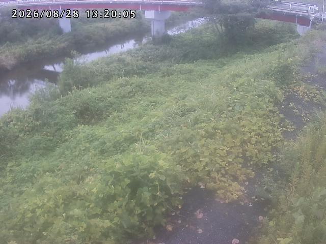 河内川１2026/08/28 17:00:00