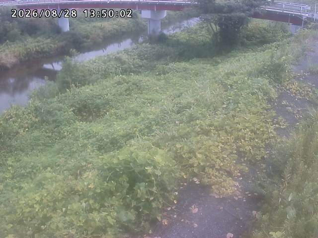 河内川１2026/08/28 17:00:00