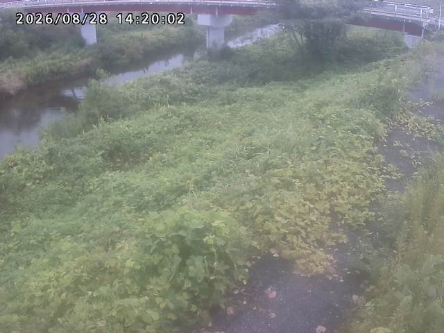 河内川１2026/08/28 17:00:00