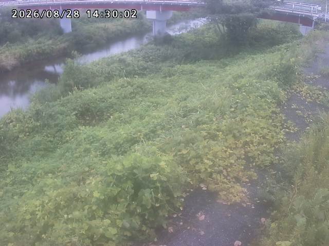 河内川１2026/08/28 17:00:00