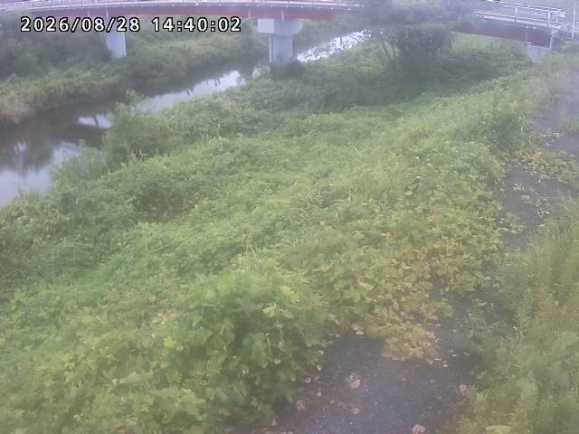 河内川１2026/08/28 17:00:00
