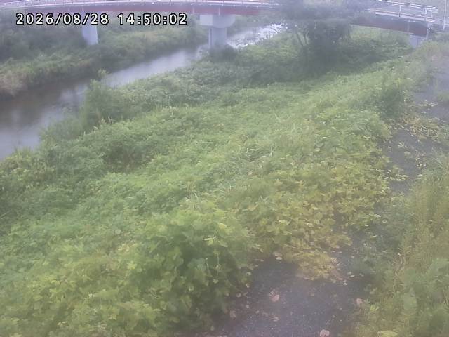河内川１2026/08/28 17:00:00