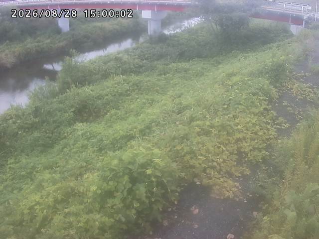 河内川１2026/08/28 17:00:00