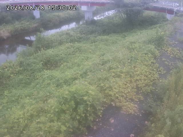 河内川１2026/08/28 17:00:00