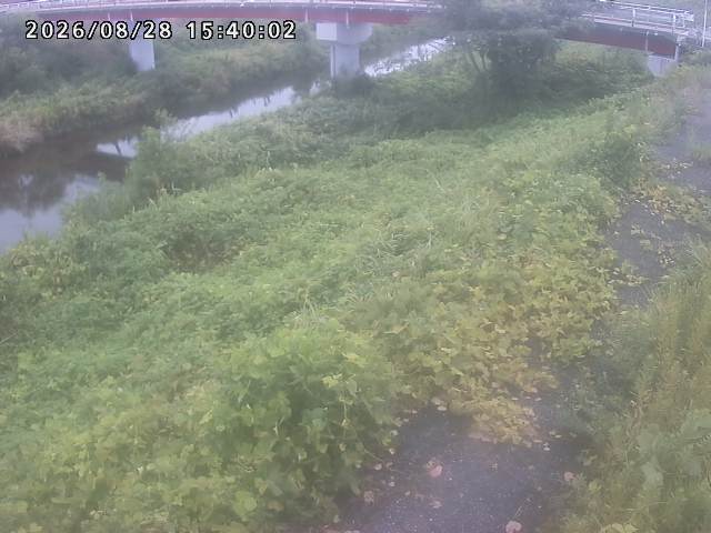 河内川１2026/08/28 17:00:00