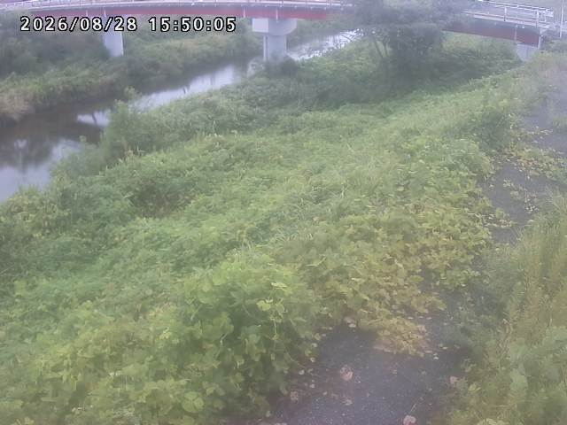 河内川１2026/08/28 17:00:00