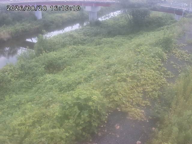 河内川１2026/08/28 17:00:00