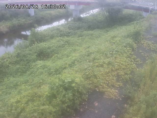 河内川１2026/08/28 17:00:00