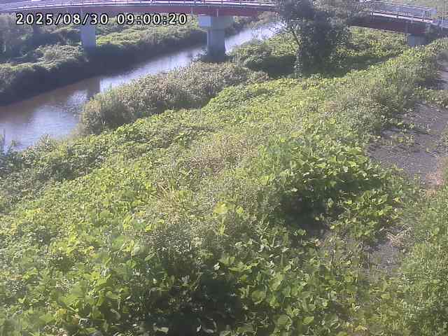河内川１2025/08/31 9:10:00