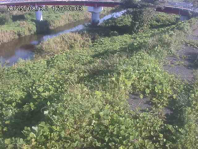 河内川１2025/08/31 9:10:00