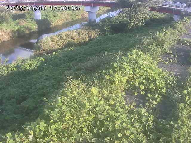 河内川１2025/08/31 9:10:00