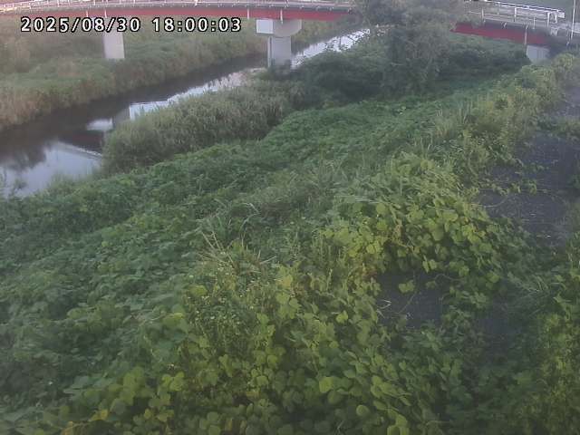 河内川１2025/08/31 9:10:00