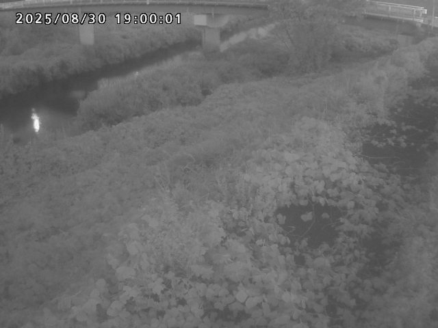 河内川１2025/08/31 9:10:00