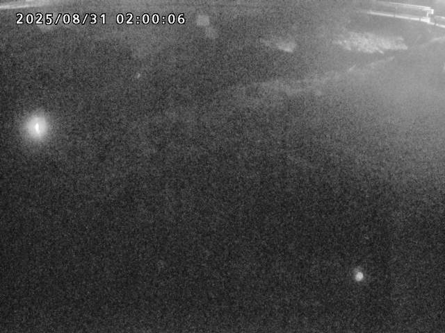 河内川１2025/08/31 9:10:00