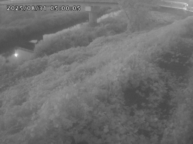 河内川１2025/08/31 9:10:00