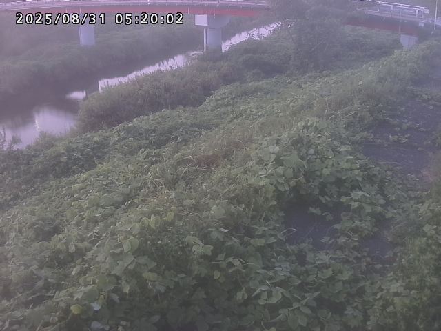 河内川１2025/08/31 9:10:00
